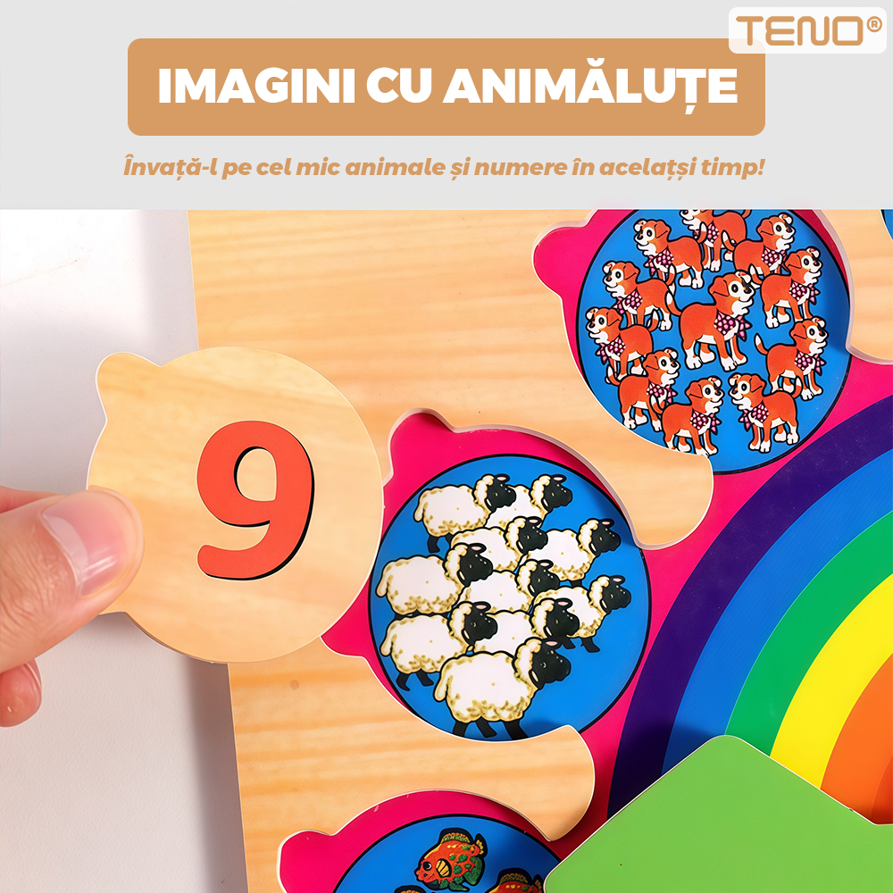 Ceas Educativ din Lemn Teno®, cifre detasabile, imagini ascunse cu animale, ace de ceasornic rotative, culorile curcubelui, +3 ani, multicolor