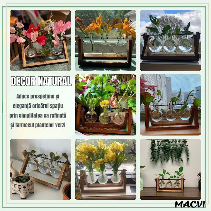Vaza decorativa Macvi®, hidroponica cu 3 recipiente din sticla, suport din lemn pliabil, bej/transparent, 28x13.5 cm