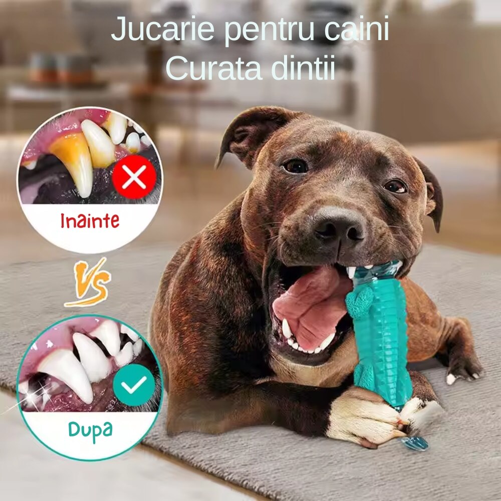 Jucarie dentitie pentru catei Macvi®, in forma de crocodil, material rezistent si sigur, verde, ideala pentru joaca si mestecat