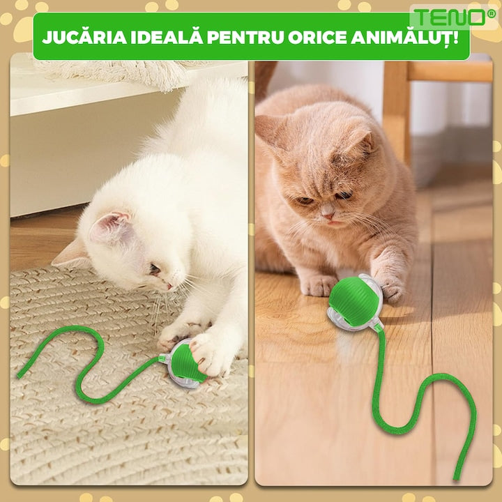 Jucarie Interactiva Smart pentru Pisici Teno®, de interior, cu lumini LED, stimuleaza animalele, acumulator USB-C, functie inteligenta, verde