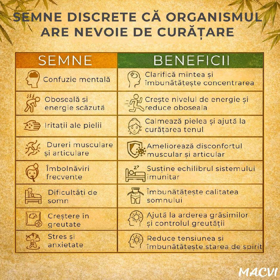 Plasturi detoxifiere, Macvi®, cu ghimbir, 10 bucati, pentru picioare