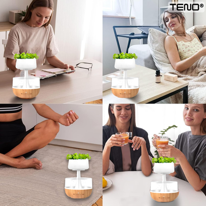 Difuzor Aromaterapie Teno®, tip planta, efect de picuri, silentios, temporizator, capacitate 130 ml, maro