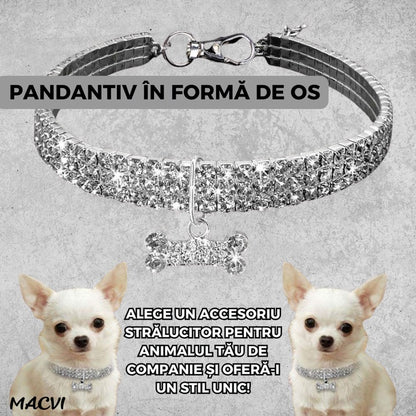 Zgarda pentru caini de talie mica Macvi® cu cristale stralucitoare, design elegant, ajustabila, argintiu