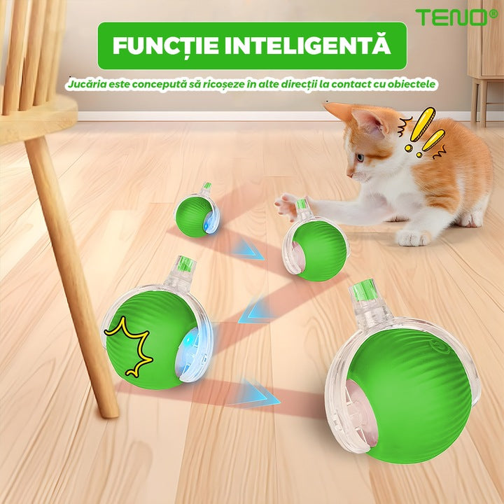 Jucarie Interactiva Smart pentru Pisici Teno®, de interior, cu lumini LED, stimuleaza animalele, acumulator USB-C, functie inteligenta, verde