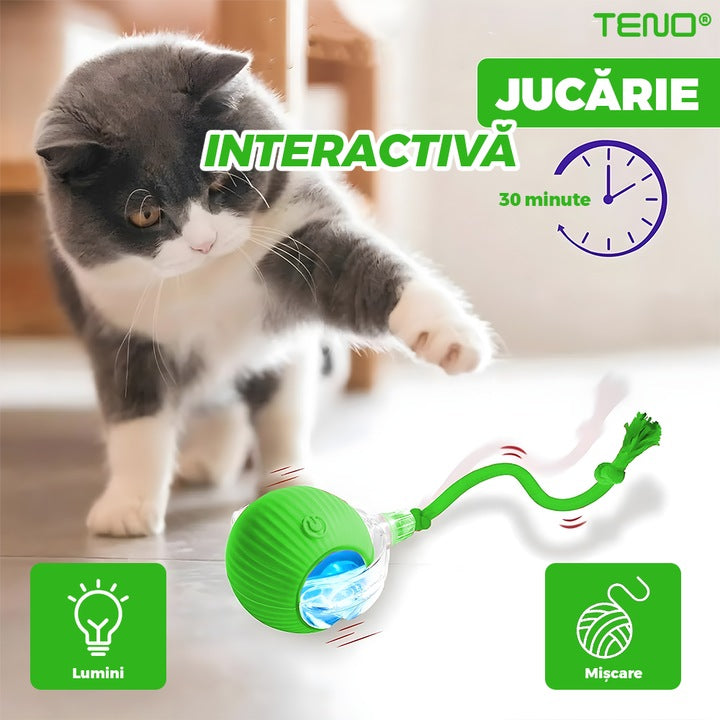 Jucarie Interactiva Smart pentru Pisici Teno®, de interior, cu lumini LED, stimuleaza animalele, acumulator USB-C, functie inteligenta, verde