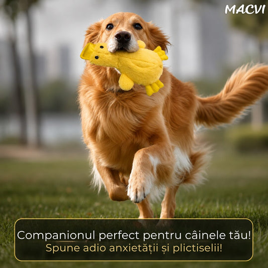 Jucarie interactiva caini Macvi®, rata colorata, 38 x 23 cm, squeaky, anti stres, plus rezistent, pentru joaca si ros, galben