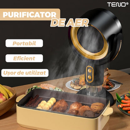 Ventilator de Masa Teno®, purificator de aer, hota de ulei si abur, compartiment pentru ulei, inclinabil, structura stabila, rezistenta ridicata, auriu