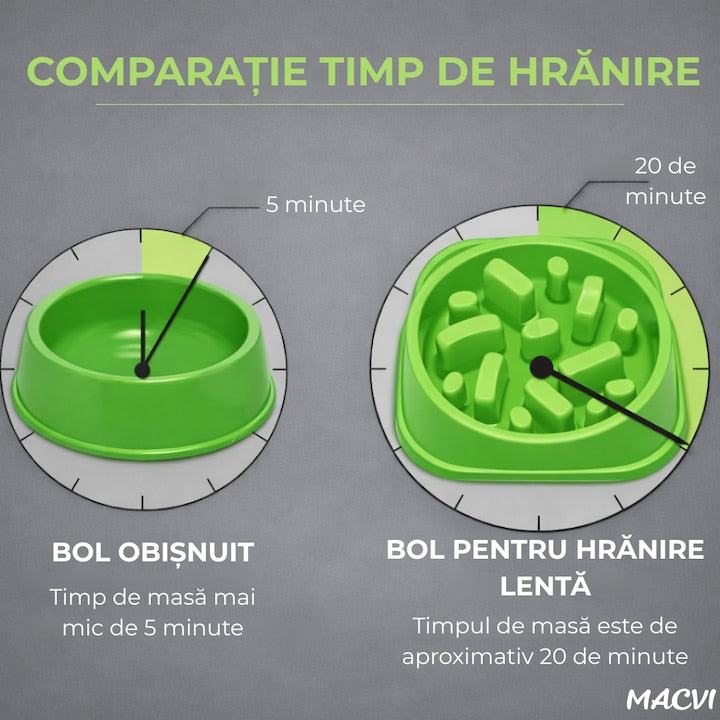 Bol Macvi® pentru caini, hranire lenta, plastic, antiderapant, 19 cm, verde