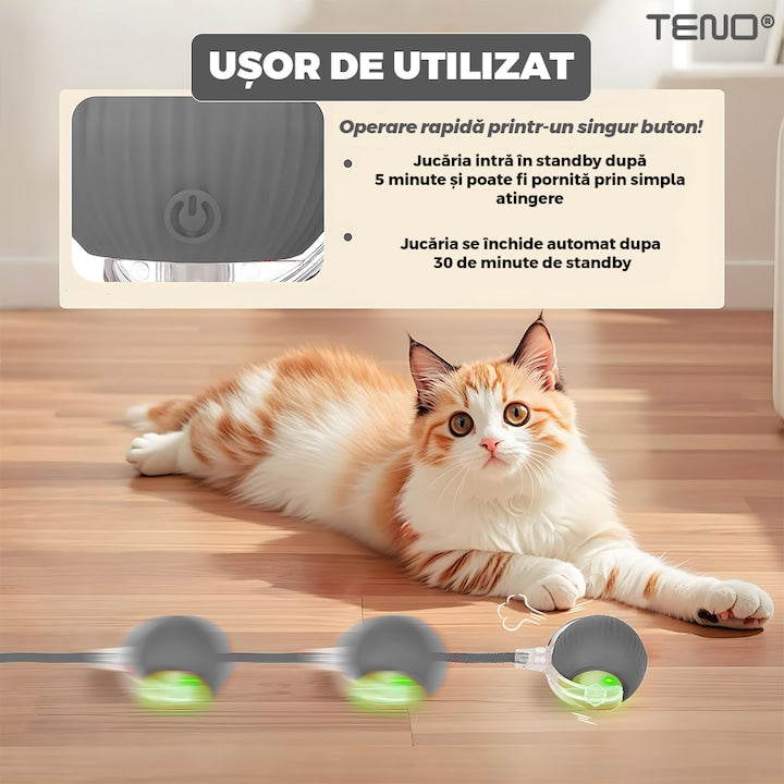 Jucarie Interactiva Smart pentru Pisici Teno®, de interior, cu lumini LED, stimuleaza animalele, acumulator USB-C, functie inteligenta, gri