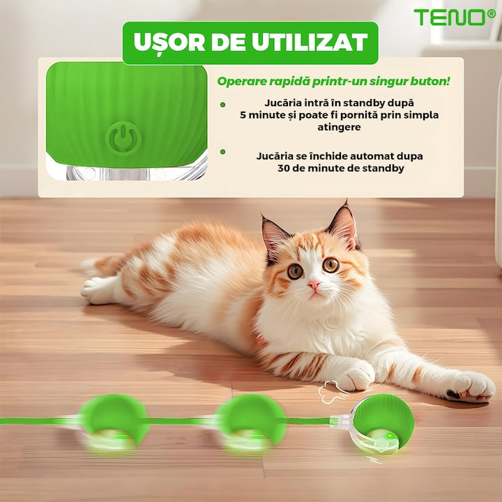 Jucarie Interactiva Smart pentru Pisici Teno®, de interior, cu lumini LED, stimuleaza animalele, acumulator USB-C, functie inteligenta, verde