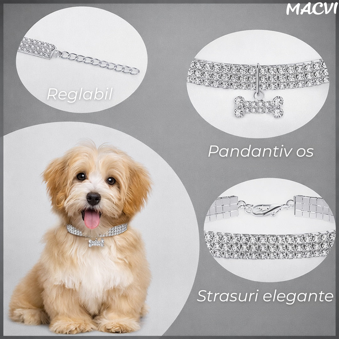 Zgarda pentru caini de talie mica Macvi® cu cristale stralucitoare, design elegant, ajustabila, argintiu