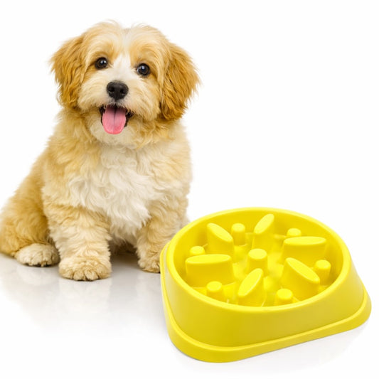 Alimentator Lent pentru Animale Macvi®, Bol Antiderapant Hranire Lenta pentru Caini si Pisici Design Interior AntiInghitire Material Sigur Usor de Curatat Rezistent, Galben