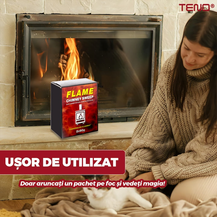 Set Solutie pentru Curatat Funingine Teno®, pentru sobe/seminee, usor de utilizat, 2 plicuri, elimina fumurile din locuinta, curata in profunzime, 2 x 90 g