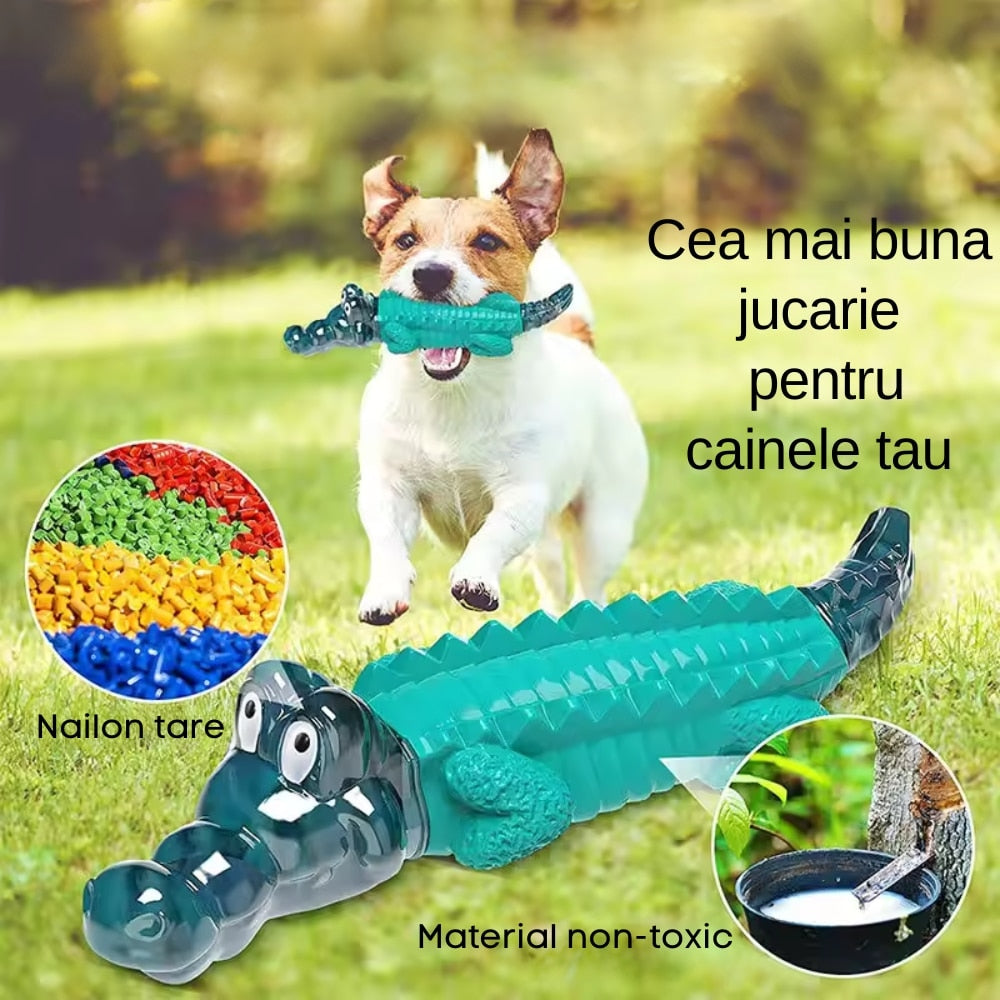 Jucarie dentitie pentru catei Macvi®, in forma de crocodil, material rezistent si sigur, verde, ideala pentru joaca si mestecat