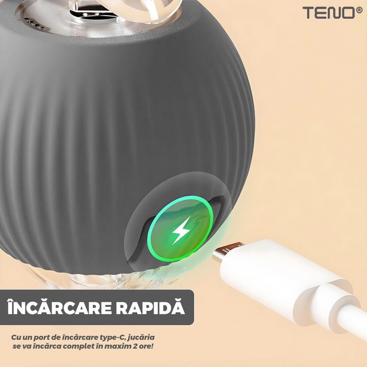 Jucarie Interactiva Smart pentru Pisici Teno®, de interior, cu lumini LED, stimuleaza animalele, acumulator USB-C, functie inteligenta, gri