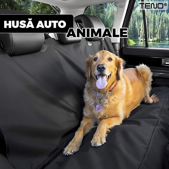 Husa Auto Protectie si Transport Animale Teno®, anti-zgarieturi, waterproof, impermeabila, accesoriu inclus, materiale rezistente, fermoar, negru
