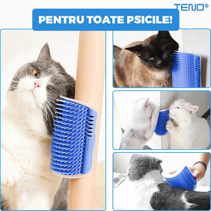 Perie de Colt pentru Pisici Teno®, materiale sigure, montare usoara, self-grooming, recipient pentru iarba pisicii, design curbat, 13 x 8.5 cm, albastru