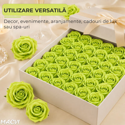 Set 50 trandafiri din sapun, 5x5 cm, calitate premium, decor si cadou elegant, Verde Lime