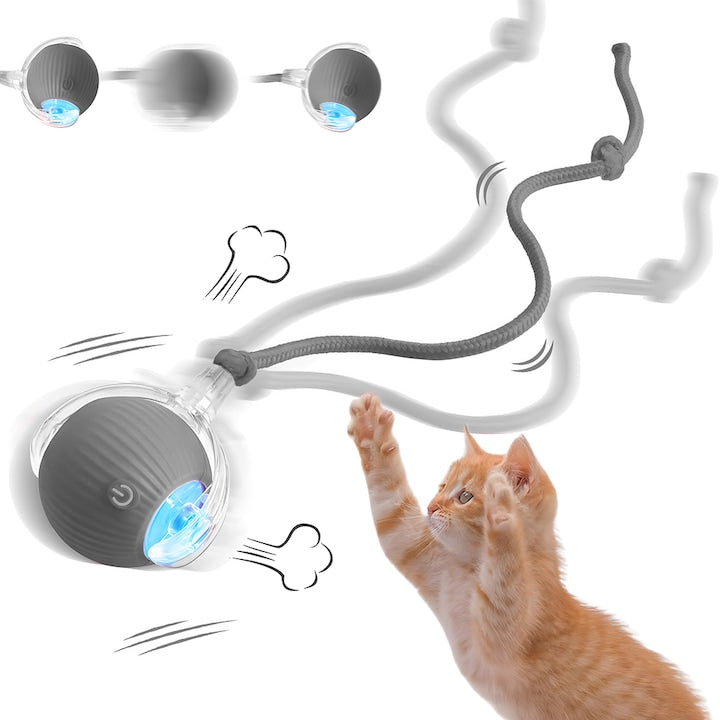 Jucarie Interactiva Smart pentru Pisici Teno®, de interior, cu lumini LED, stimuleaza animalele, acumulator USB-C, functie inteligenta, gri
