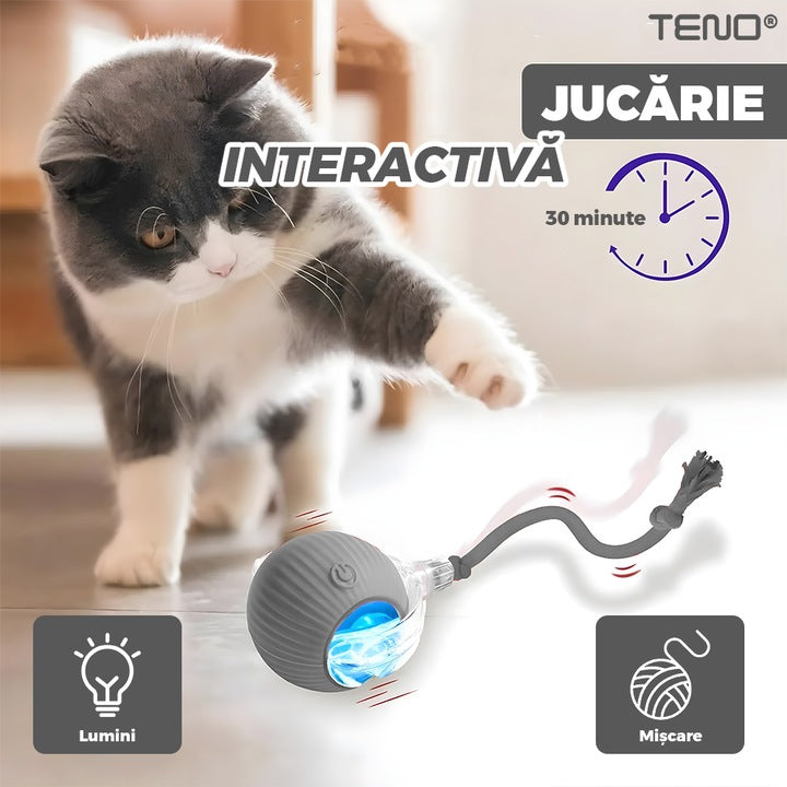 Jucarie Interactiva Smart pentru Pisici Teno®, de interior, cu lumini LED, stimuleaza animalele, acumulator USB-C, functie inteligenta, gri