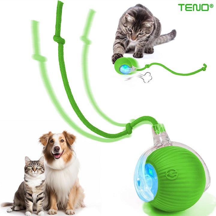 Jucarie Interactiva Smart pentru Pisici Teno®, de interior, cu lumini LED, stimuleaza animalele, acumulator USB-C, functie inteligenta, verde