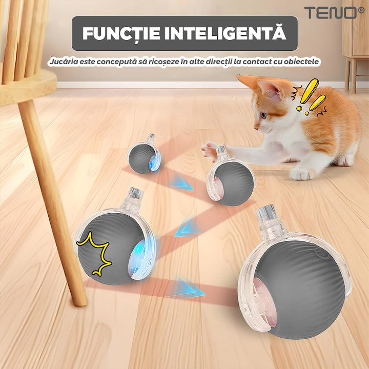 Jucarie Interactiva Smart pentru Pisici Teno®, de interior, cu lumini LED, stimuleaza animalele, acumulator USB-C, functie inteligenta, gri
