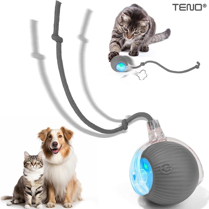 Jucarie Interactiva Smart pentru Pisici Teno®, de interior, cu lumini LED, stimuleaza animalele, acumulator USB-C, functie inteligenta, gri