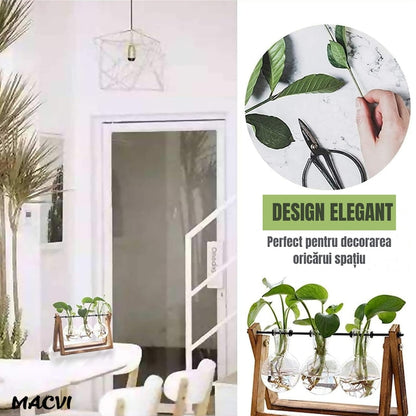 Vaza decorativa Macvi®, hidroponica cu 3 recipiente din sticla, suport din lemn pliabil, bej/transparent, 28x13.5 cm