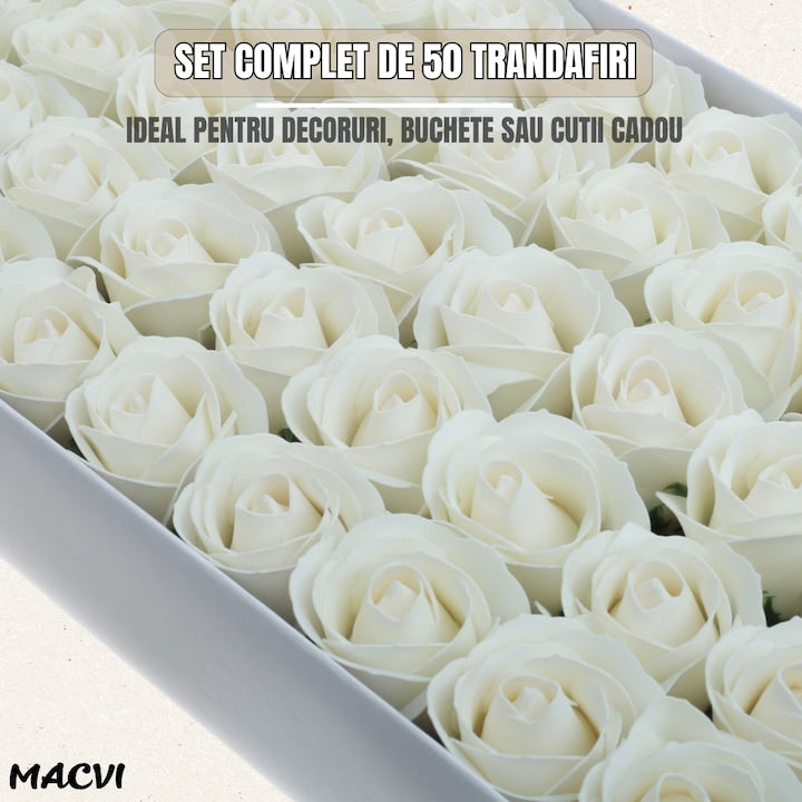 Set 50 trandafiri din sapun, 5x5 cm, calitate premium, decor si cadou elegant, Alb