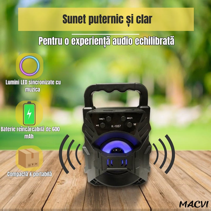 BOXA PORTABILA MINI